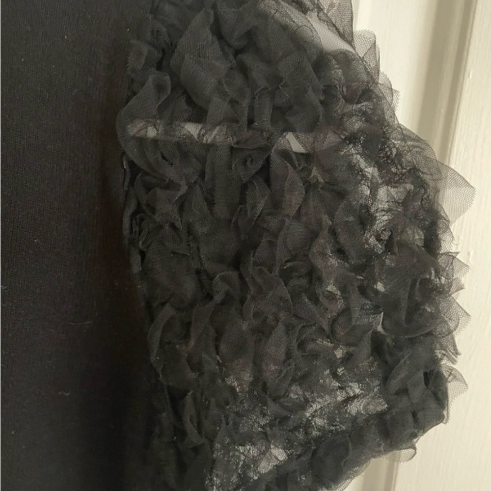 ZARA Black Top with Sheer Puffy Sleeves - Picture 4 of 5
